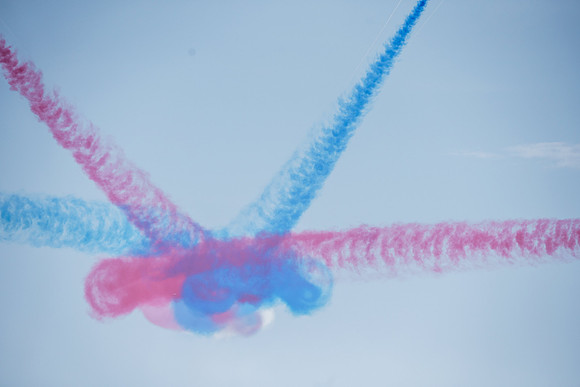 _ARL3118