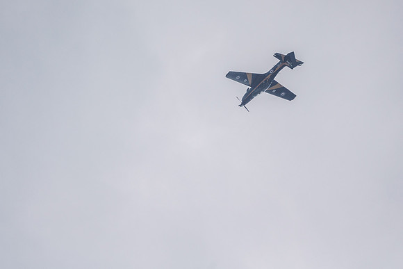 _ARL3035