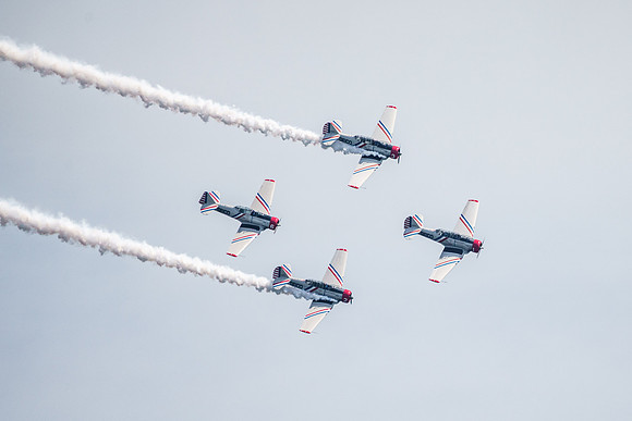 _ARL3152