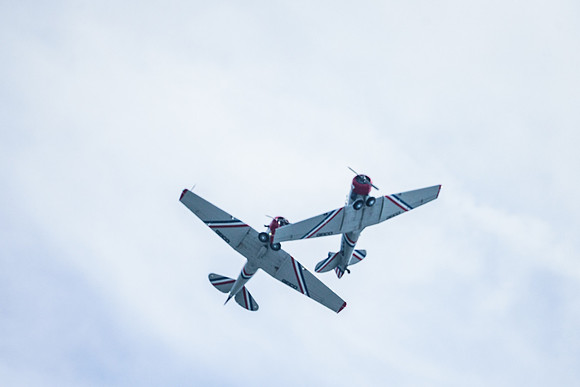 _ARL3163