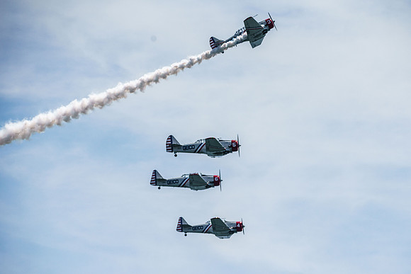 _ARL3179