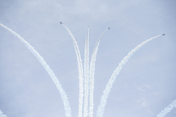 _ARL3087