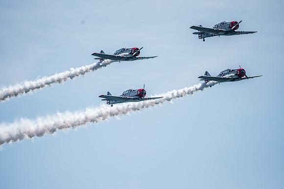 _ARL3154