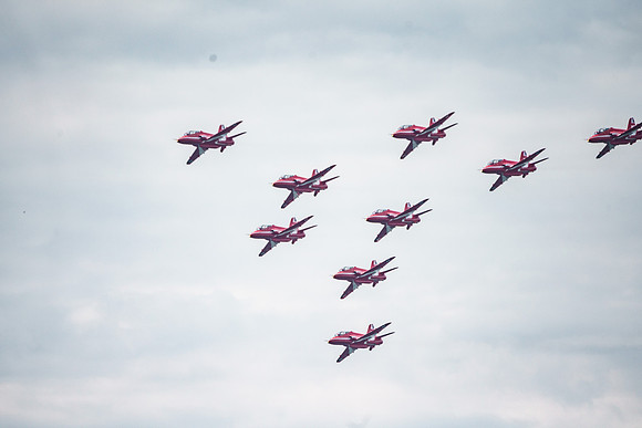 _ARL3051