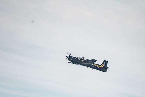 _ARL3034