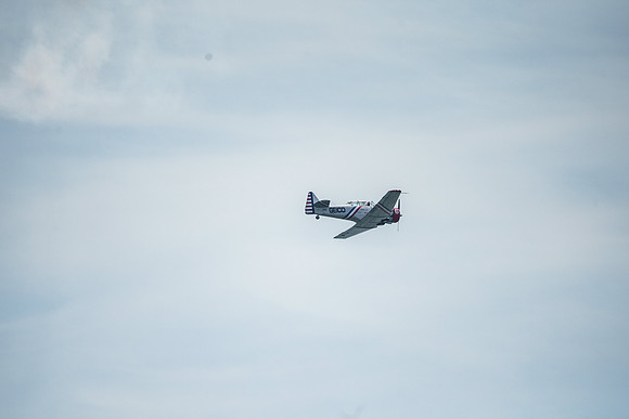 _ARL3162