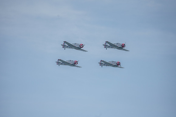 _ARL3136