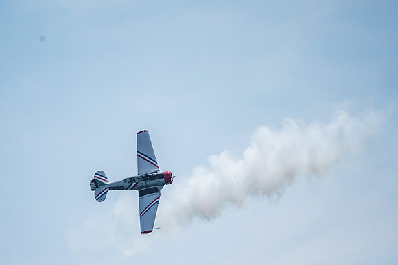 _ARL3161
