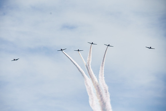 _ARL3173