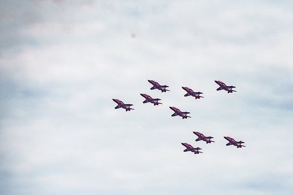 _ARL3078