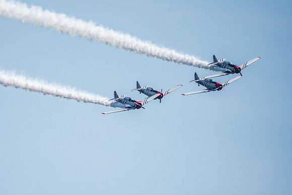 _ARL3153