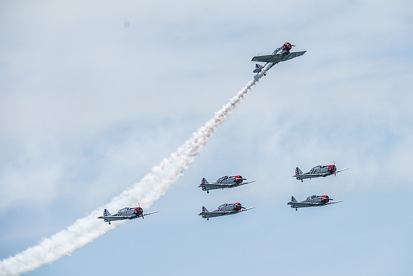 _ARL3177