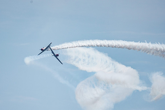 _ARL3138