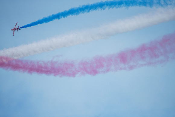 _ARL3109