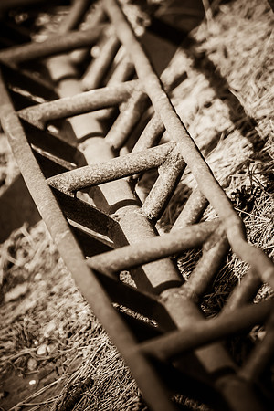 _ARL1349