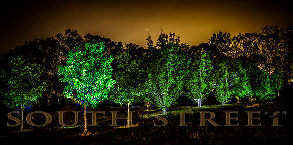 _MG_1149-Edit-2