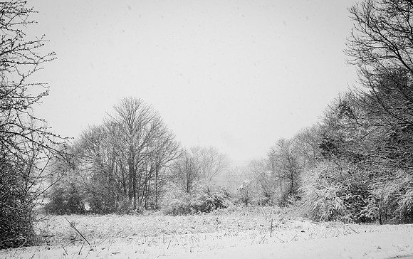 Snow Scenes 021