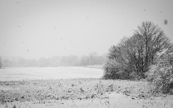 Snow Scenes 022