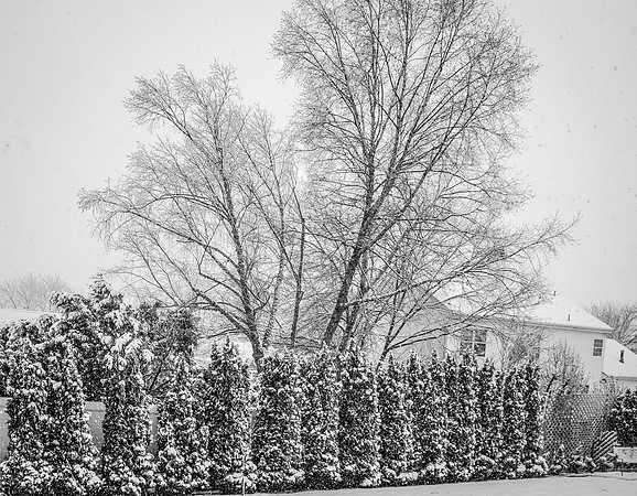 _DSC5457