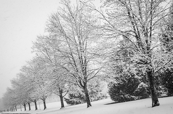 Snow Scenes 023