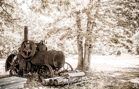 Junk Yark 021